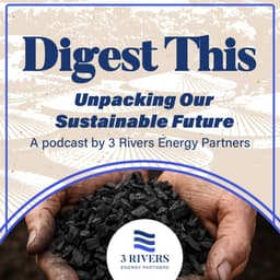 Cover art for Innovation and Leadership in Sustainability